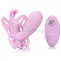 Butterfly Remote Venus G