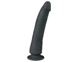 Easytoys - 100% silikónový prísavný dildo (21cm) - čierny