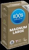 EXS Magnum 12 pcs