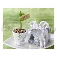 Fazuľka Love v hrnčeku