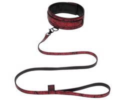 Odtiene šedej - nákrčník a vodítko (červeno-čierne)