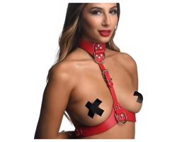 Prísne - červený popruhový postroj s obojkom