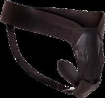 Remote Control Fantasy Panty