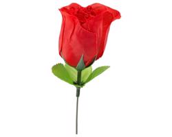Ruža s tangami - tajomná červená elegancia (S-L)
