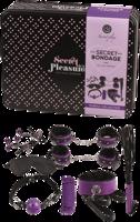 Secret Play Bondage Kit