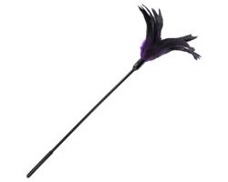 Sportsheets - dlhé pierko na pohladenie (fialovo-čierne)